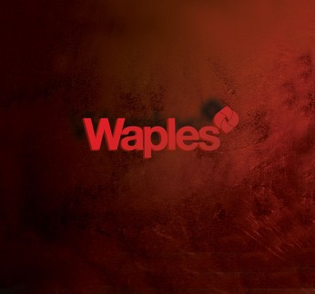 Waples Marketing Group